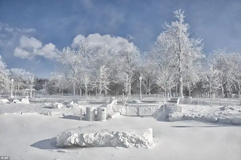 Sono diventati bianchi alberi bidoni e cancelli 