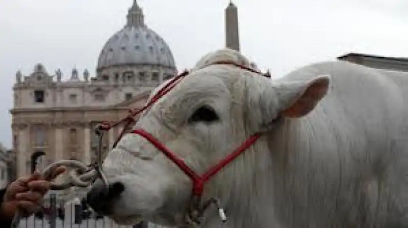 VATICANO images 