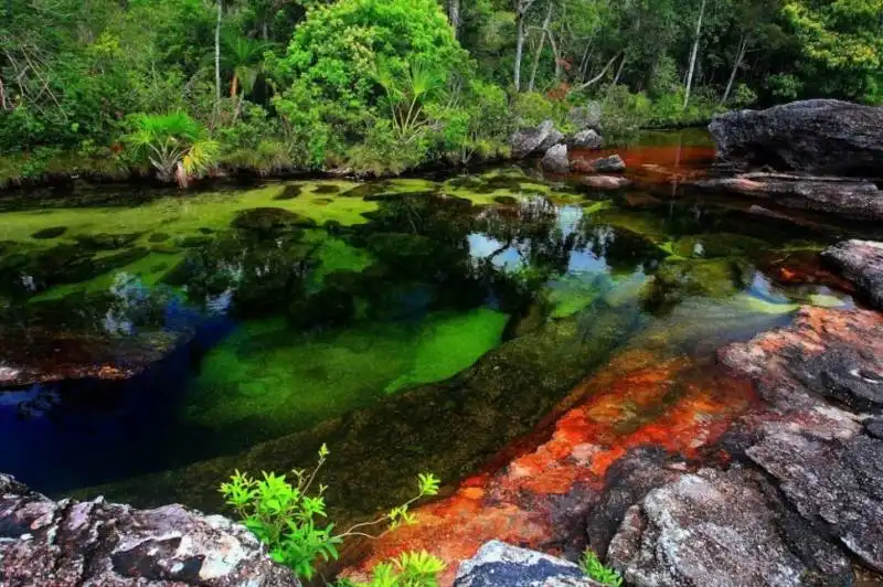 fiume di can??o cristales, colombia 