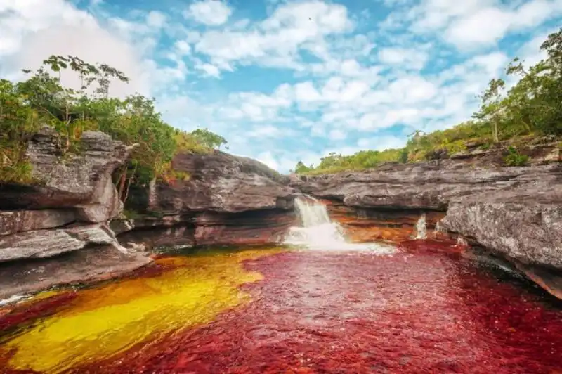 fiume di can??o cristales, colombia