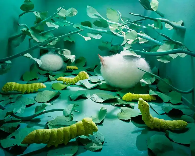 arte jeeyoung lee opiom 1