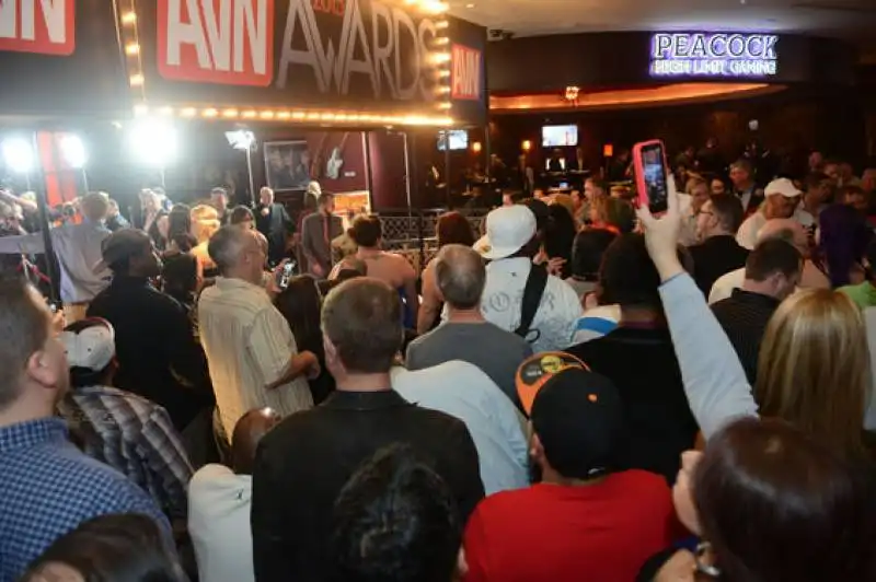 avn awards&expo2015  44