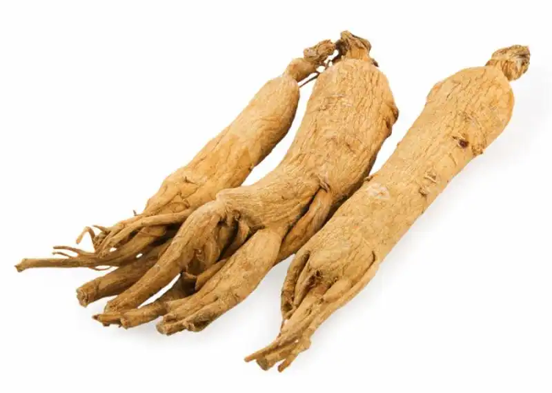 ginseng 