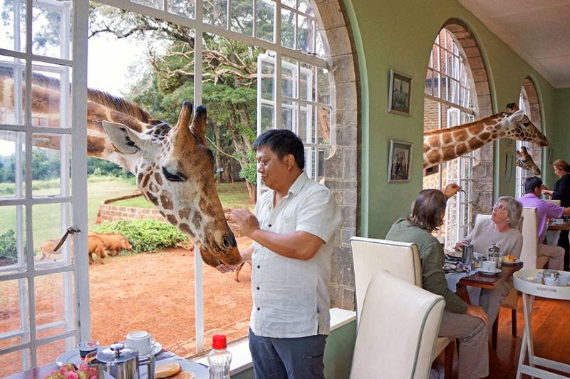 giraffe manor, kenya