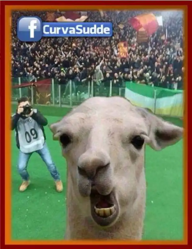 parodie totti selfie 24