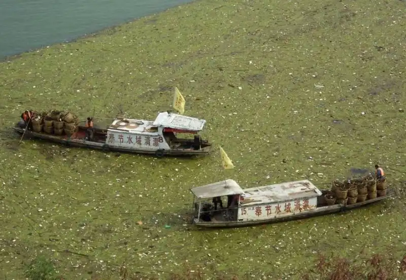 yangtze river