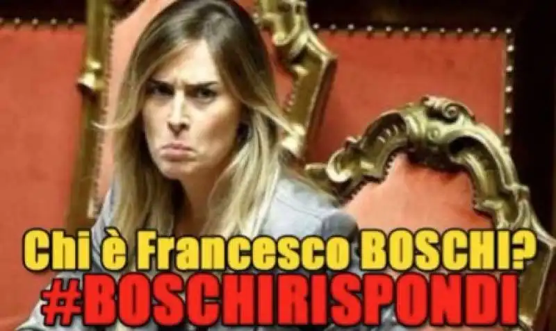 boschirispondi  8