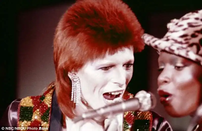 bowie e ava cherry