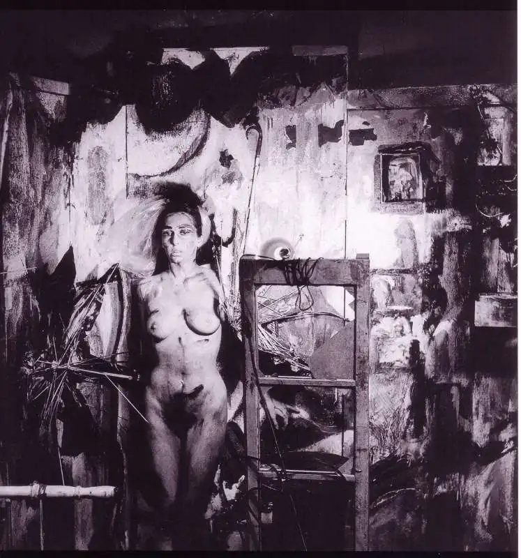 carolee schneemann 1