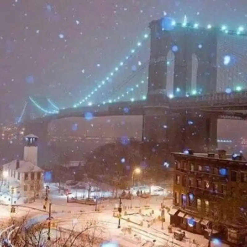 NEVE NEW YORK