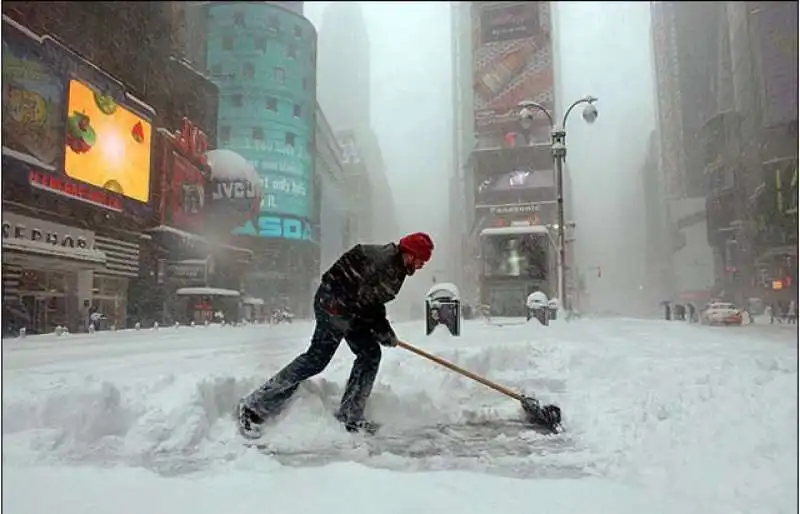 NEVE NEW YORK