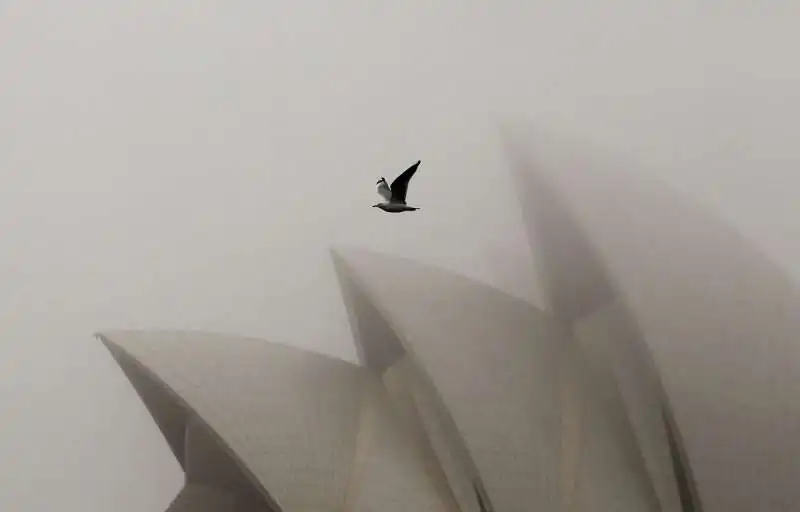 sydney opera house