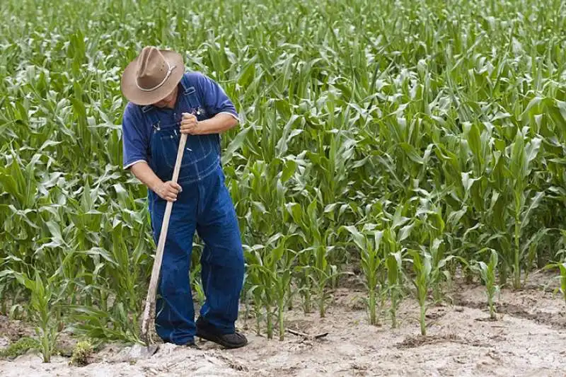 CAMPAGNA AMERICANA  