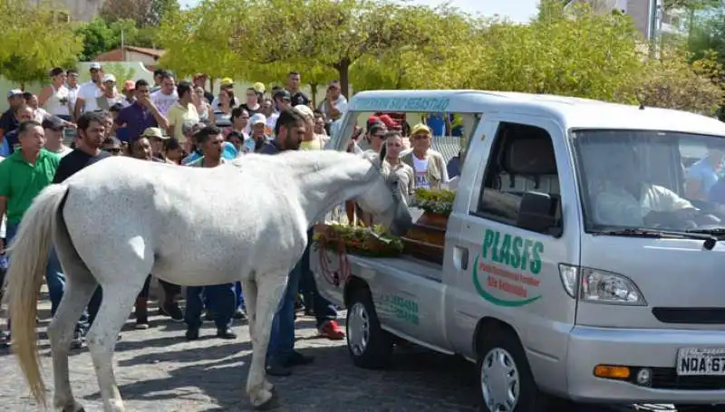 CAVALLO SERENO PIANGE AL FUNERALE DEL PADRONE