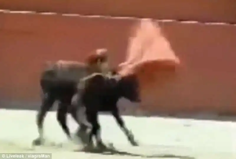 corrida in spagna