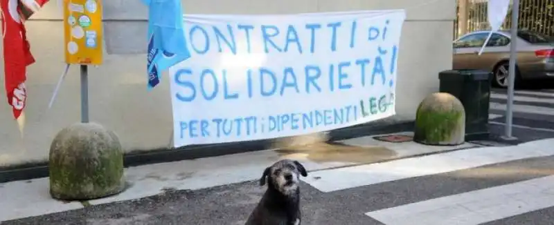 dipendenti lega