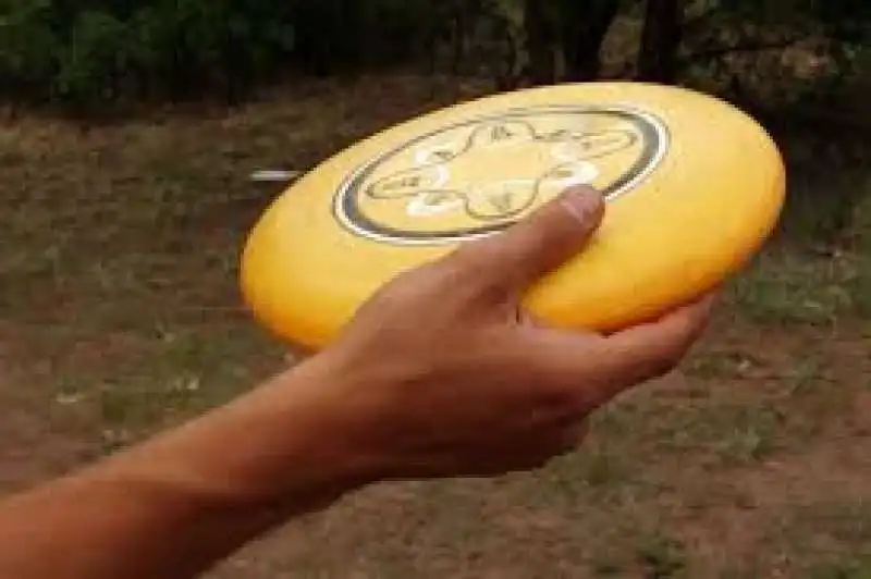 FRISBEE