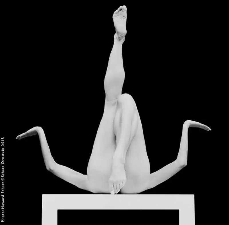 howard schatz corpo nudo16