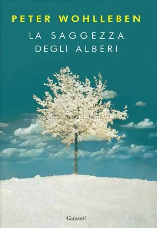 LA SAGGEZZA DEGLI ALBERI COVER