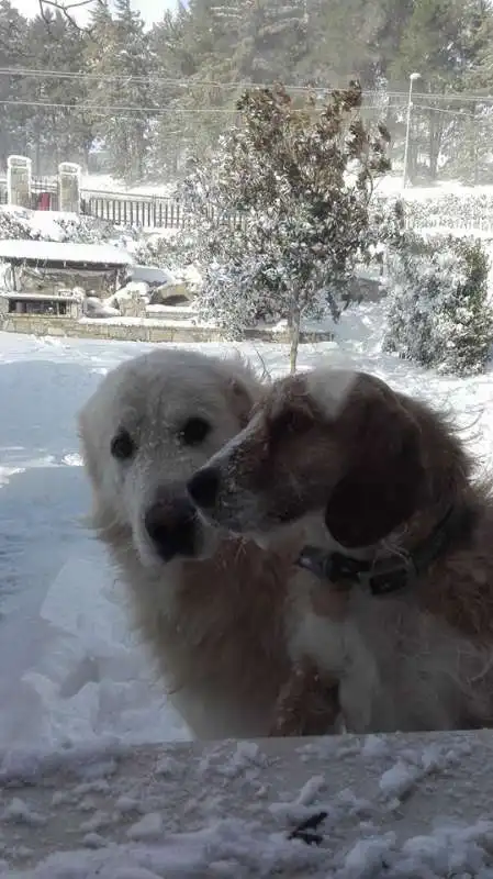 NEVE IN IRPINIA