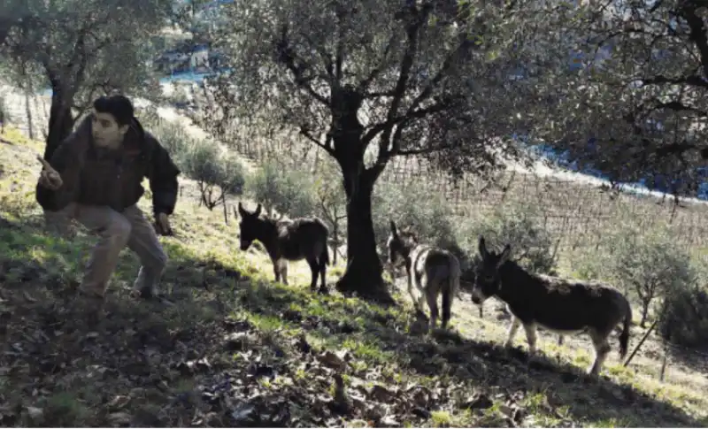 RAGAZZI CAMPAGNE