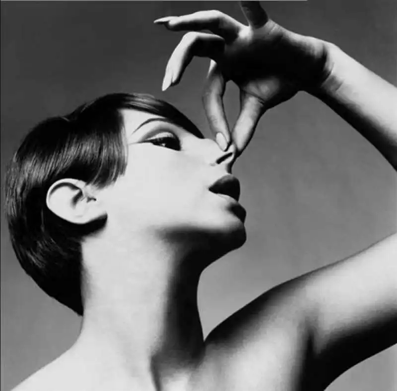 barbra streisand by richard avedon