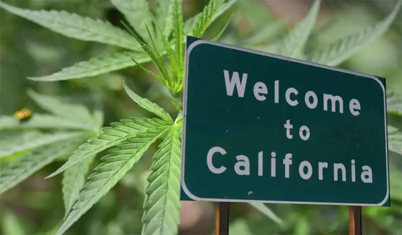 California-Marijuana