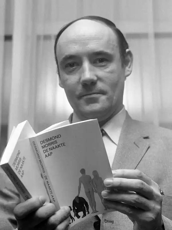 DESMOND MORRIS