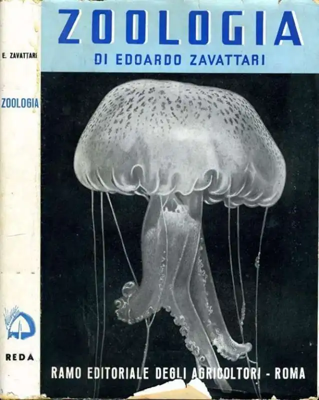 EDOARDO ZAVATTARI ZOOLOGIA