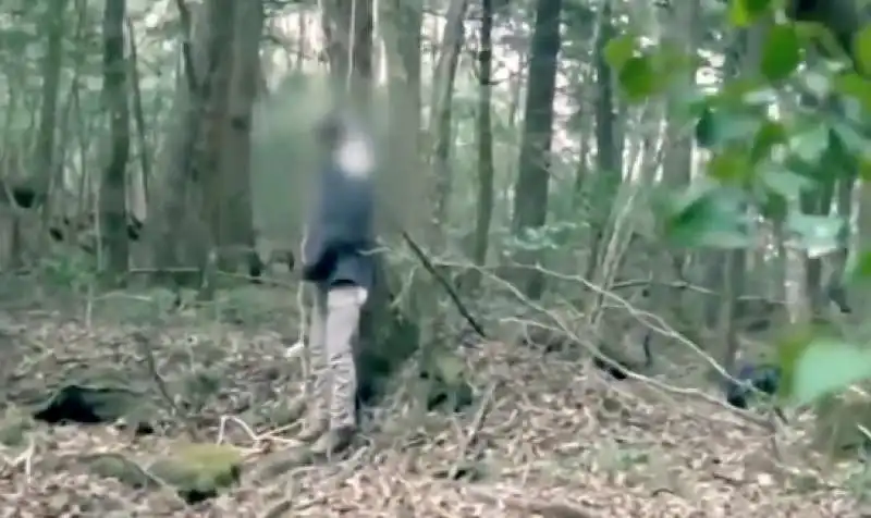 Logan Paul e il video nella foresta dei suicidi in Giappone