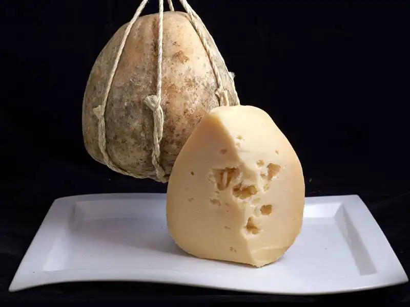 provolone