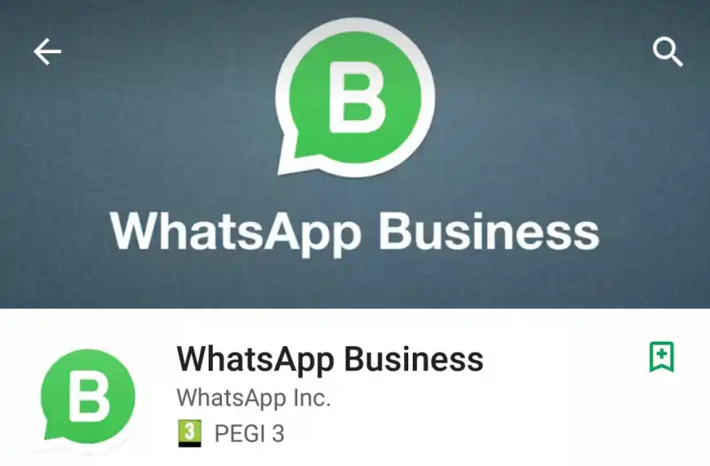 WHATSAPP BUSINESS