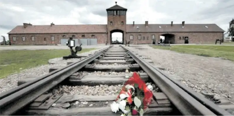 auschwitz birkenau