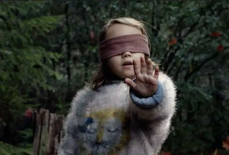 bird box 1