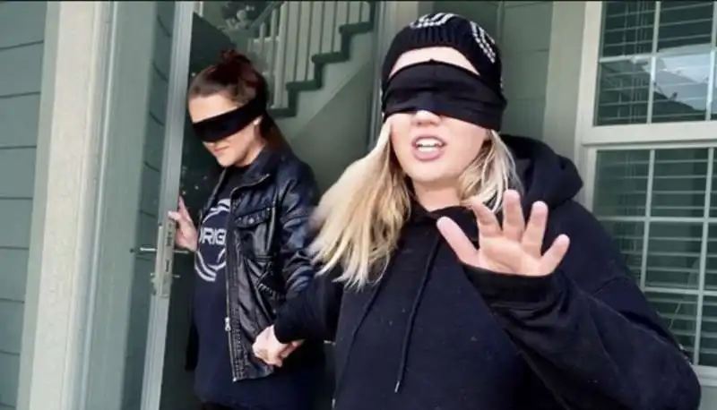 bird box challenge 5