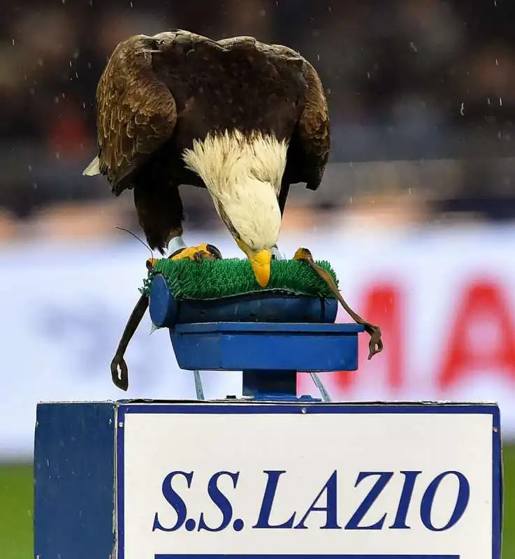 la lazio  foto mezzelani gmt 038