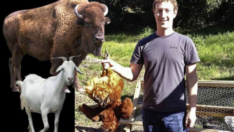 mark zuckerberg macellaio