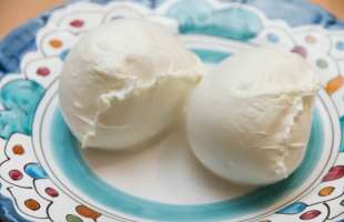 mozzarella di bufala