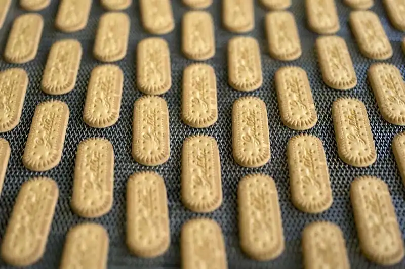 osvego biscotti gentilini