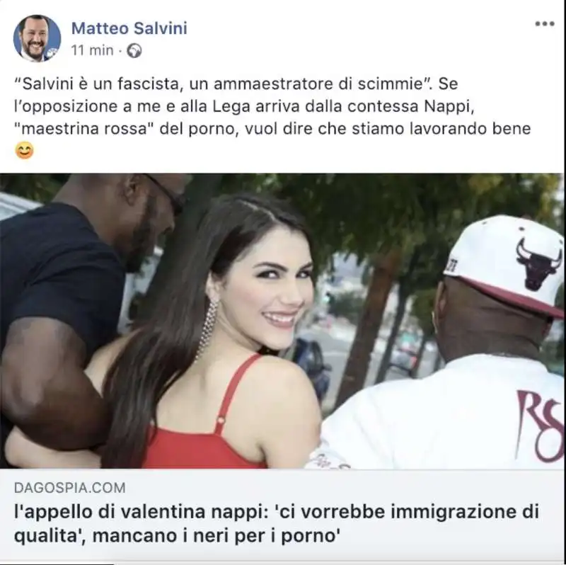 salvini nappi