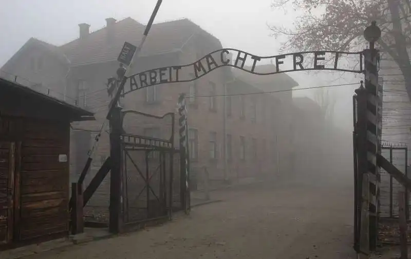 auschwitz 12