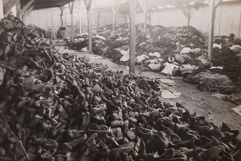 auschwitz 13