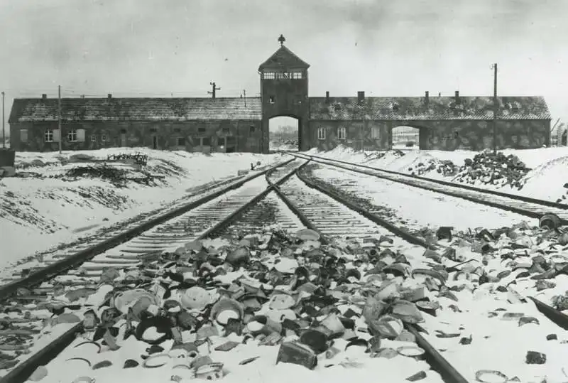 auschwitz 24