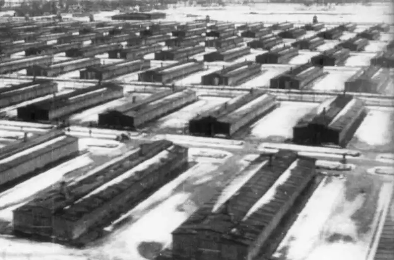 auschwitz 8