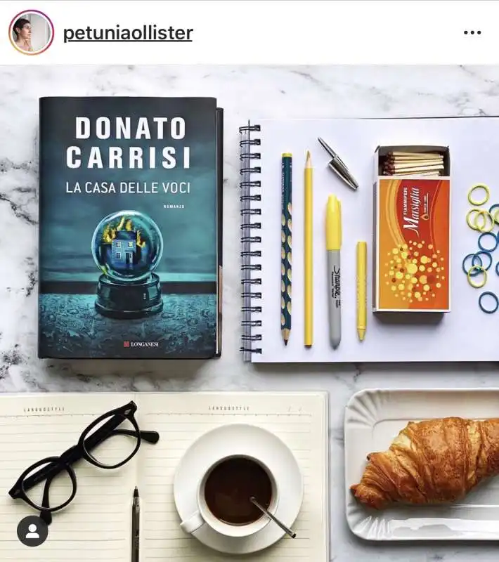 BOOK INFLUENCER - PETUNIA OLLISTER