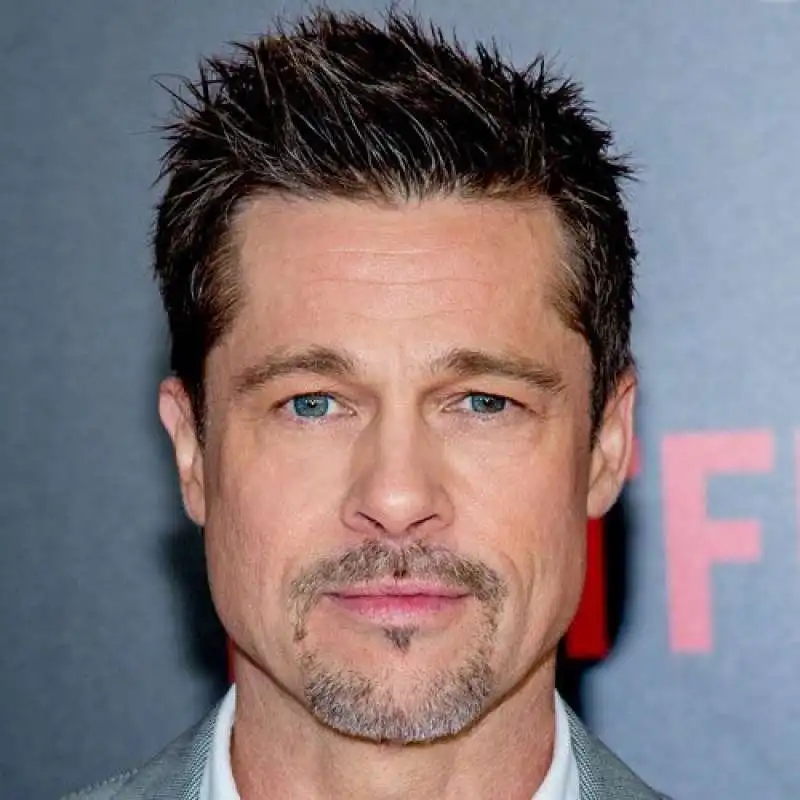 brad pitt  con i suoi capelli naturali 