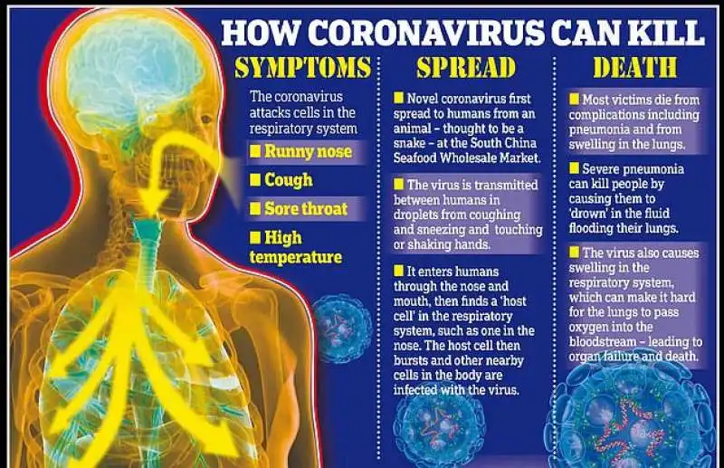 coronavirus