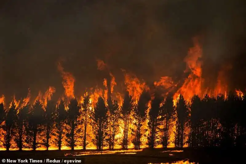 incendi in australia