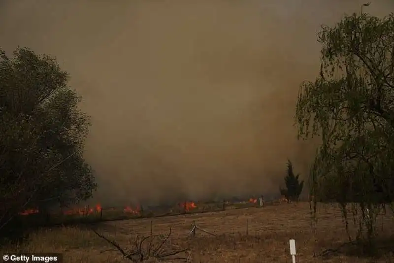 incendi in australia