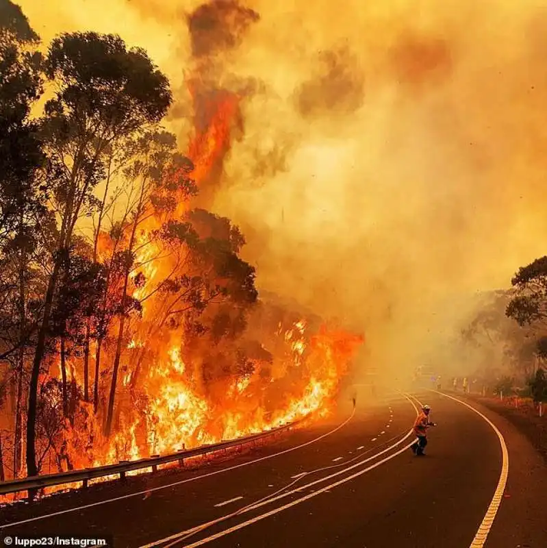 incendi in australia 2